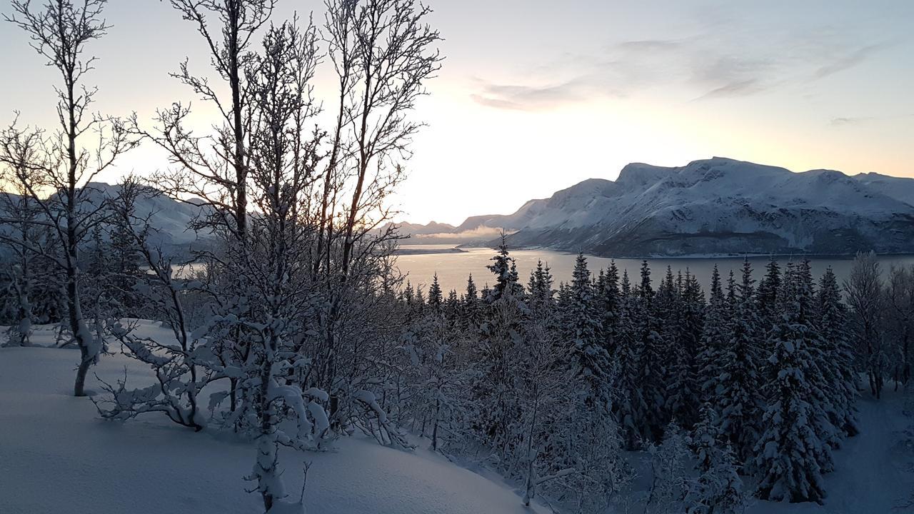 Slettvold Lyngen Svensby Exterior foto